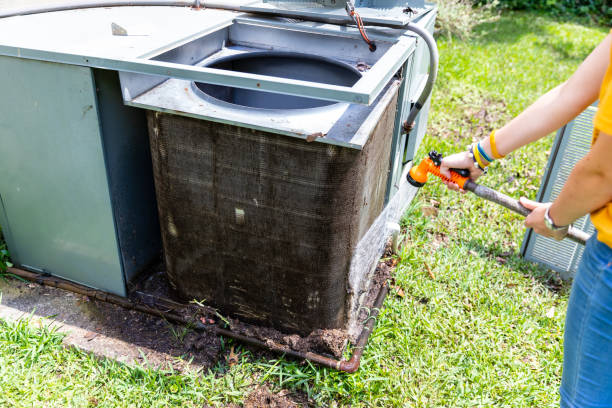 Best Emergency Air Duct Cleaning  in Wacousta, MI
