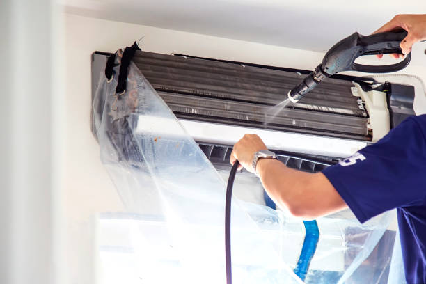 Best Ductwork Cleaning Services  in Wacousta, MI