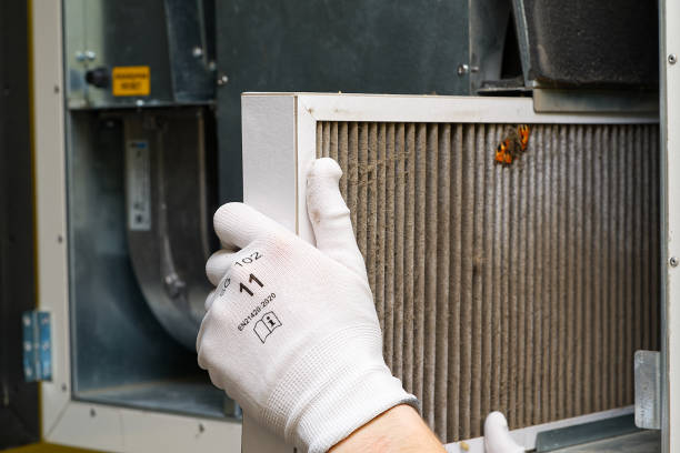 Best Affordable Duct Cleaning Services  in Wacousta, MI