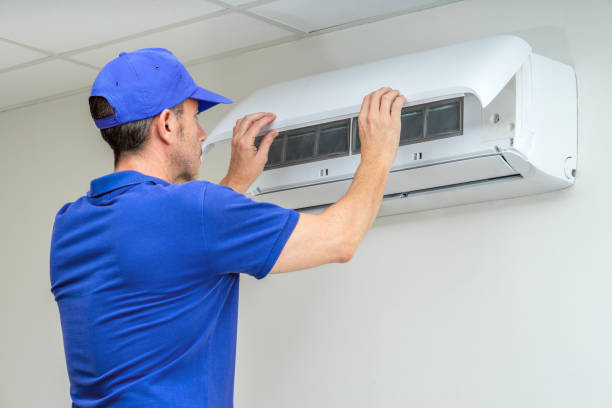 Best Home Air Vent Cleaning  in Wacousta, MI
