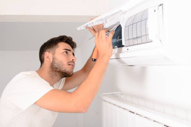 Best Air Duct Cleaning Company Near Me  in Wacousta, MI